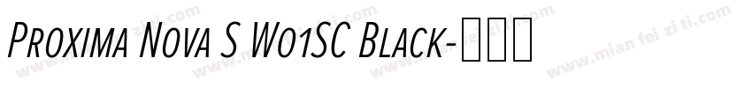 Proxima Nova S W01SC Black字体转换